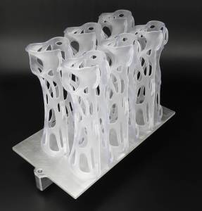 Aplicaciones de la impresora 3D: Ortopedia